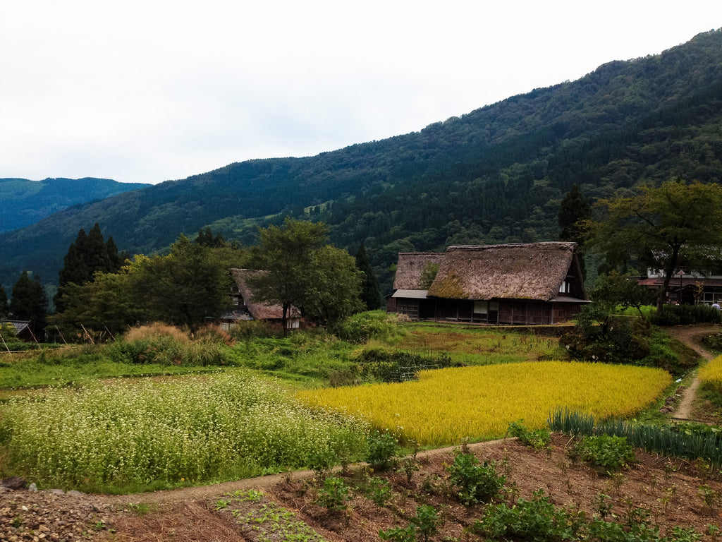 Gokayama, les autres origines du papier japonais